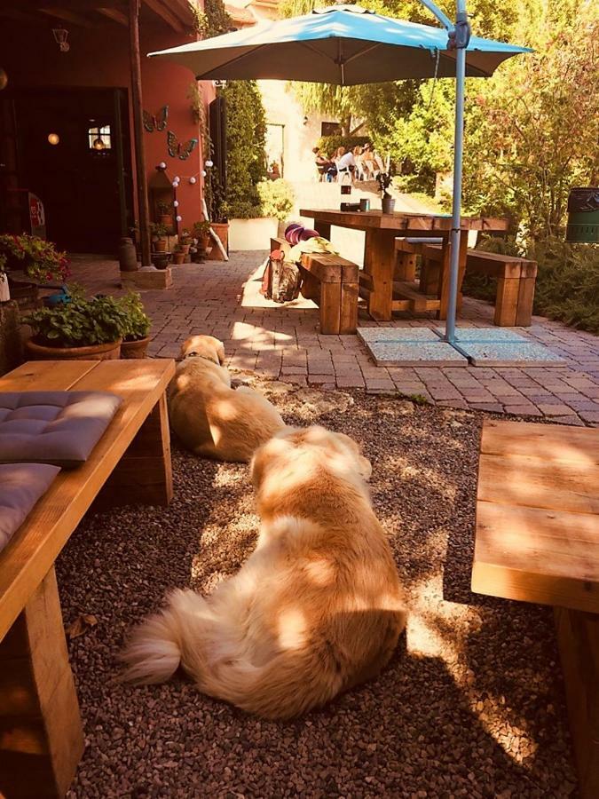 リパルベッラ Agriturismo Terenzanaアパートホテル エクステリア 写真